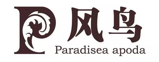 鵬為軟件與風鳥集團交流溝通